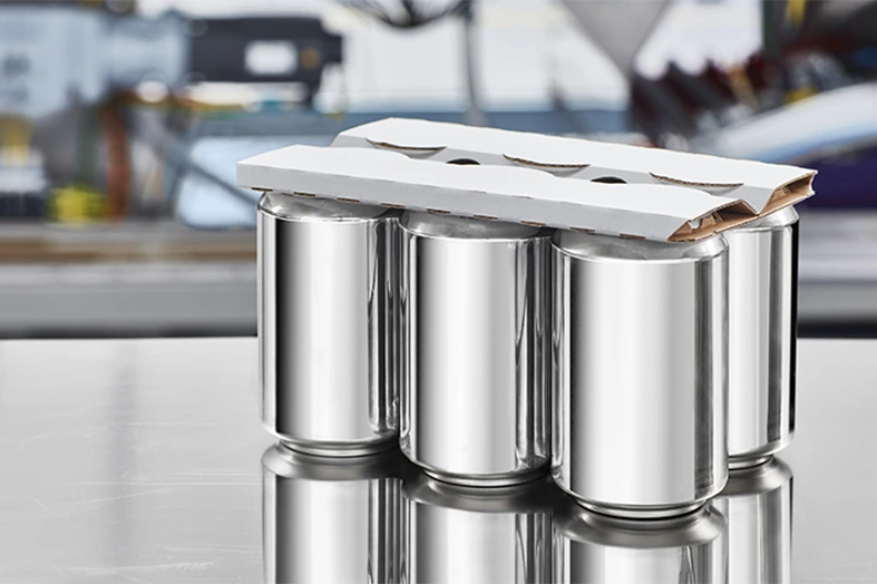 Secondary packaging system installation